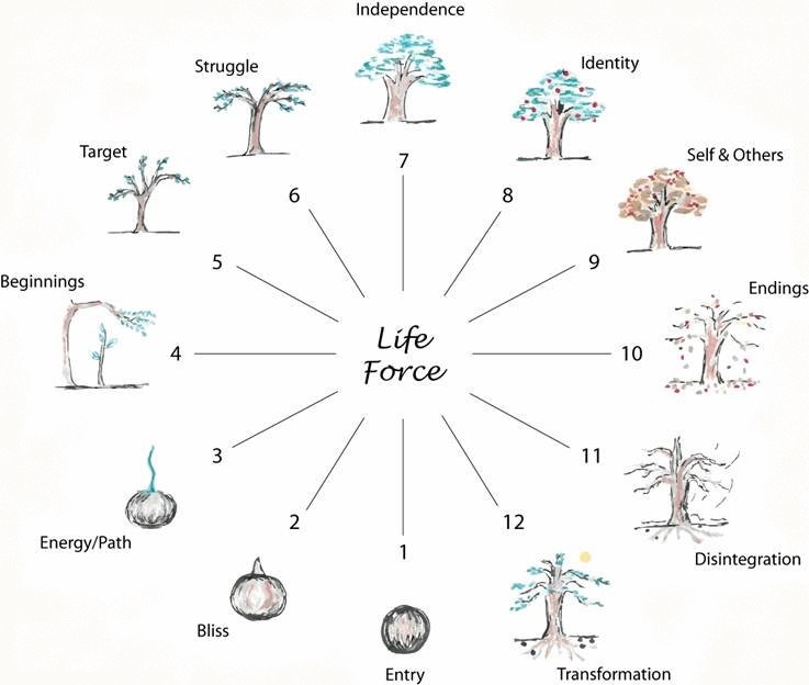 MARIo Labsal Praxis F r Imagination Und Musik